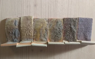 Progression linéaire